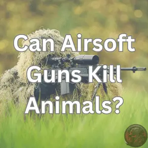 Can Airsoft Guns Kill Animals?